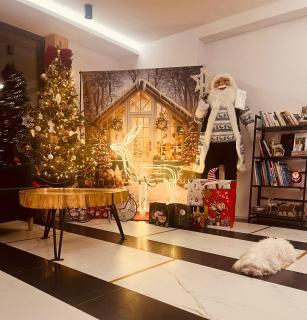 Santa Angela Solina Resort & SPA - Solina - 3