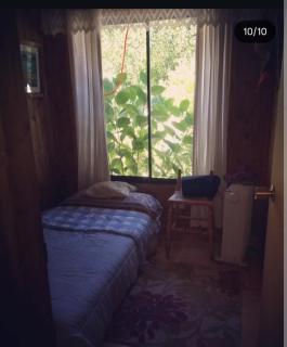 Relajo en plena naturaleza - 8