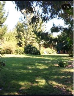 Relajo en plena naturaleza - 7