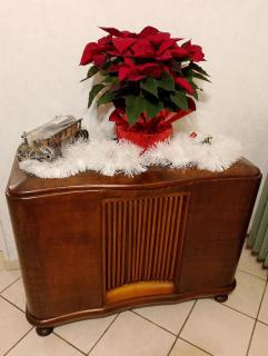 Hotel Grazia Ristorante - 6