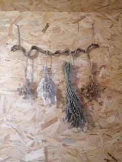 Saint florent le vieil, chez Stéph et Flo - 9