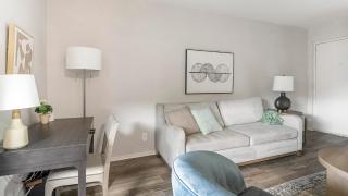 Landing Apartments - The Carlisle at Dunedin - 8