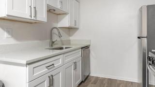 Landing Apartments - The Carlisle at Dunedin - 4