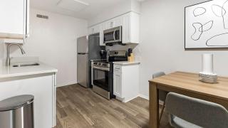 Landing Apartments - The Carlisle at Dunedin - 3