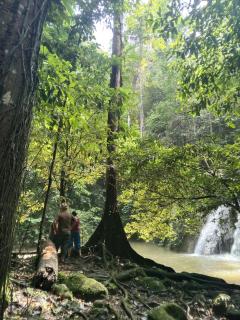 Mamere Homestay Raja Ampat - 9