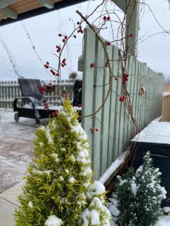 Somlói Provence - 8