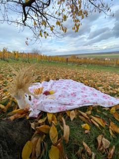 Somlói Provence - 0