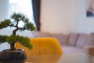 Lamadu Residence - 2