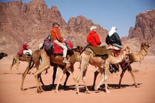 Wadi Rum Tours & Camp - 8