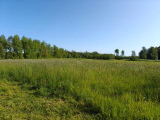 Rural charm & modern comfort - 5