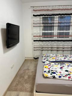 Apartament luminos in centrul orasului - 8