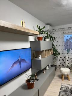 Apartament luminos in centrul orasului - 6