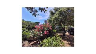 Plage Vardiola à pied Familiale 10 pers Corse Sud Porto Vecchio - 8