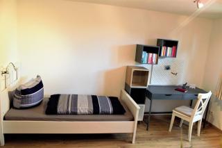 Große Ferienwohnung in altem Gutshaus - 1