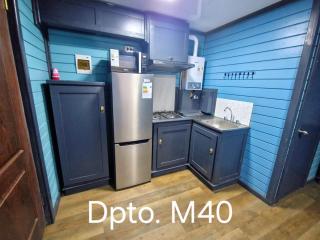 Wildepartamentos Valdivia TM - 3