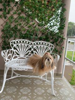 VIVENCE Rancho Mar, embarque nessa aventura! - 9