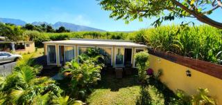 Plumeria 2 - Saint-Pierre - 7