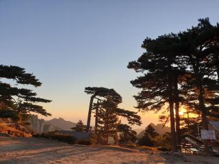 Logement T2 Villa Bavella Vista - 1