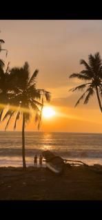 Vinu Beach Resort - 2