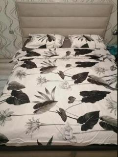 parking-wIfI-sen - 1