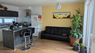 Test ad for testing - Great! - 2