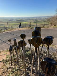 2 bedroom Apartment in wine region - 6