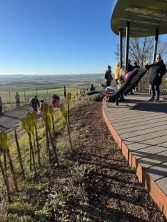 2 bedroom Apartment in wine region - 7