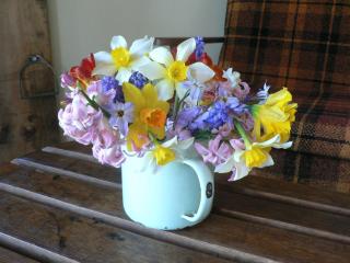 The Old Shepherd - 8