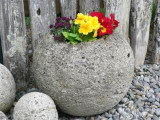 The Old Shepherd - 5