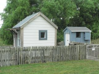 The Old Shepherd - 3