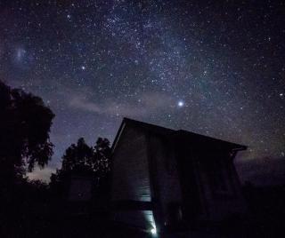 The Old Shepherd - 2