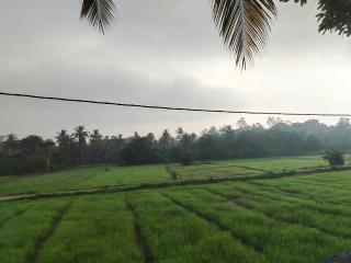 Fieldscape 9 - Room number 9 - Ahangama - 5