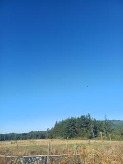 Cabaña pelluhue Refugio Arcaluz - 3