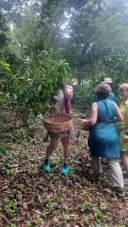 Eco lodge finca magdalena - 8