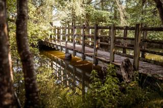 Gîte du Puy Charrier, Proche Puy duFou, Classé 3 étoiles, Plan d'eau privé - 1