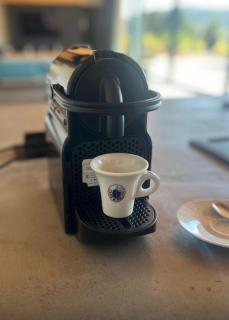 Villa Terra Motovun - 8