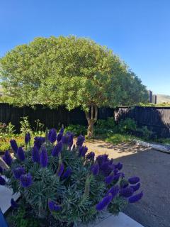 Casa con vista al mar cerca de Matanzas Ideal para familias - 6