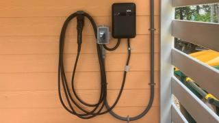 1607 - The Silly Geese - Corolla - 3