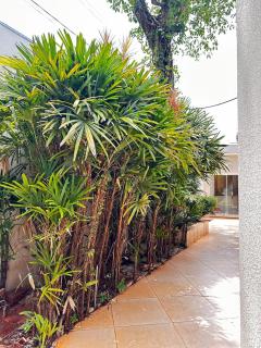 Charming house near Blue Park and Catuai mall - 4