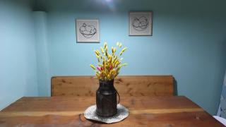 "Donde brilla el sol" Casa Campo - 7