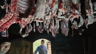 Family owned self sufficient ECO farm TARA - 6