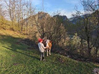 Family owned self sufficient ECO farm TARA - 4