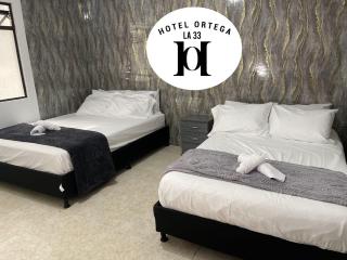 hotel ortega la 33 - 3