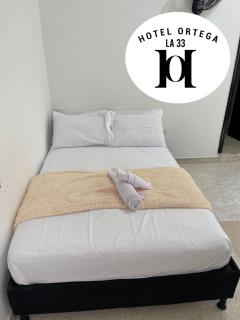 hotel ortega la 33 - 1