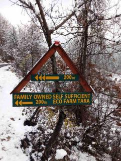 Family owned self sufficient ECO farm TARA - 3