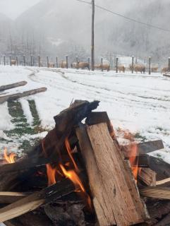 Family owned self sufficient ECO farm TARA - 2