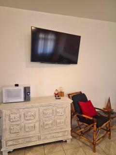 Ap12 Toninhas Mar Brasil - 8