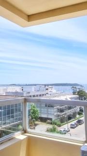 Amplio depto 3 dormitorios céntrico, con vista al mar e Isla Gorriti - 7