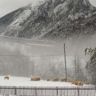 Family owned self sufficient ECO farm TARA - 1