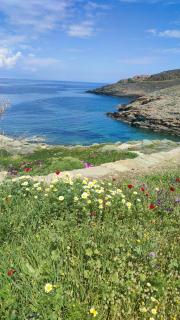 Waterfront villa with private pool and seaview - 0